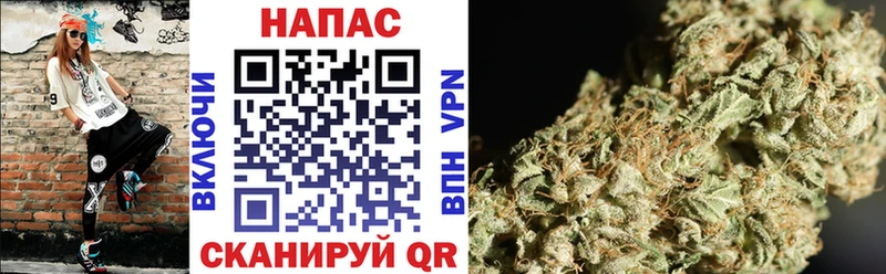 Где найти наркотики Яровое Кокаин  Метадон  Alpha-PVP  ГАШ  Меф мяу мяу  гидра ССЫЛКА  Конопля 