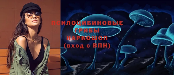 СК Чегем