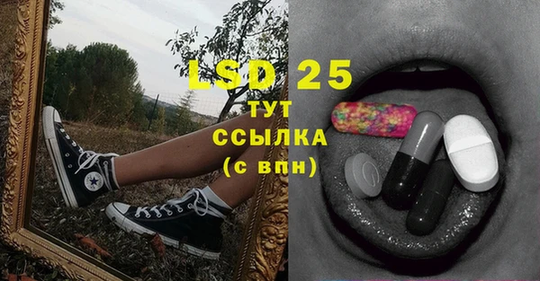 СК Чегем