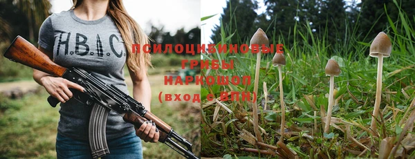 СК Чегем