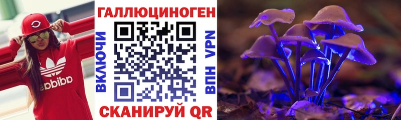 Псилоцибиновые грибы Psilocybine cubensis  как найти   Яровое 